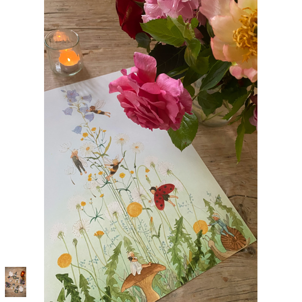 KribleKrable plakat HAVE str. 50x70