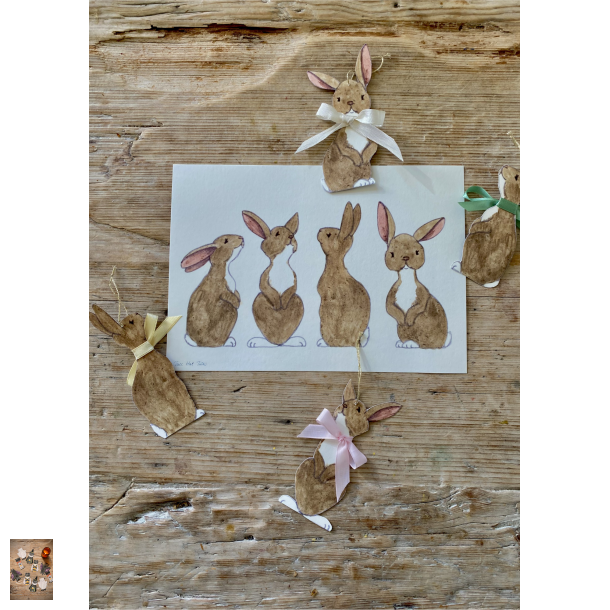 4 s�de harer - papirklip