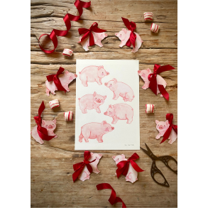 5 glade grise papirklip