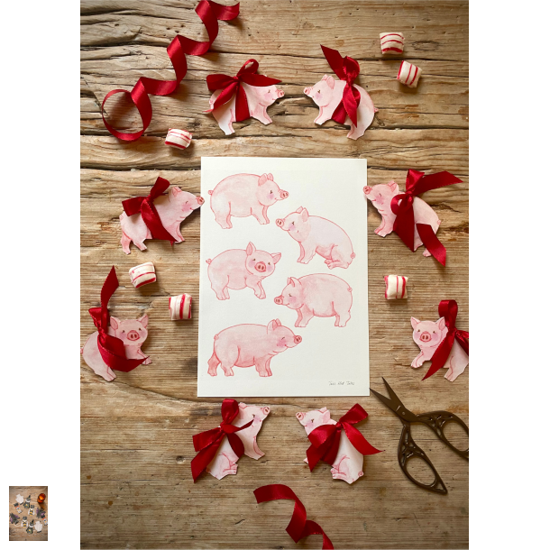 5 glade grise papirklip