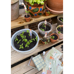 Planteb�rn til dine blomsterfr�