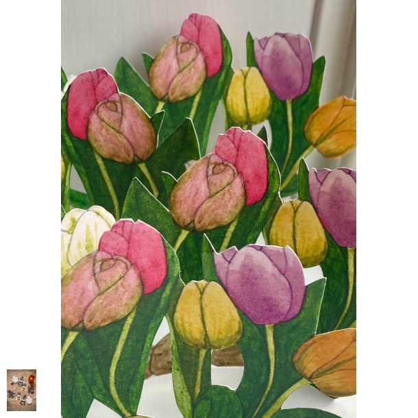Tulipaner