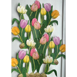 Tulipaner