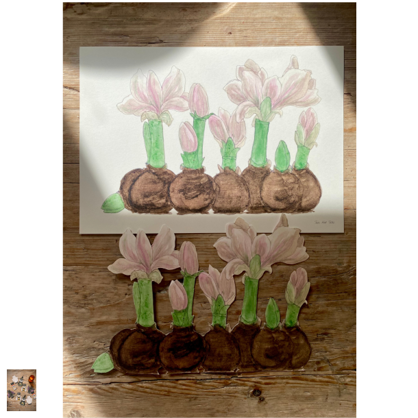 Amaryllis - sart rosa papirklip