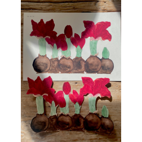 Amaryllis - r�d papirklip