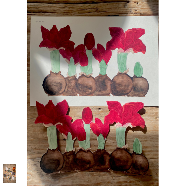 Amaryllis - r�d papirklip