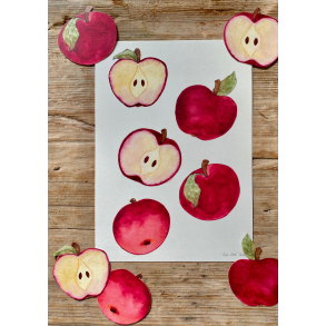 5 r�de �bler papirklip