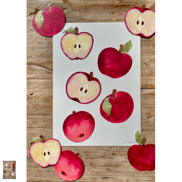 5 r�de �bler papirklip
