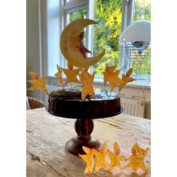 Fdselsdagspakke med stjernebrn