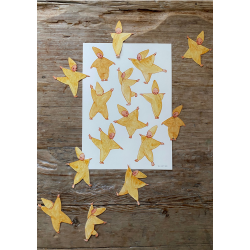 Dansende stjernebrn download