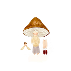 Svampedreng download